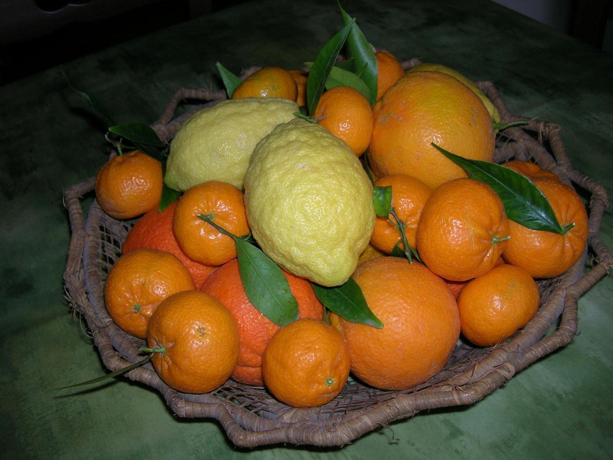 Farm stay Agriturismo Baglio Donna Santa