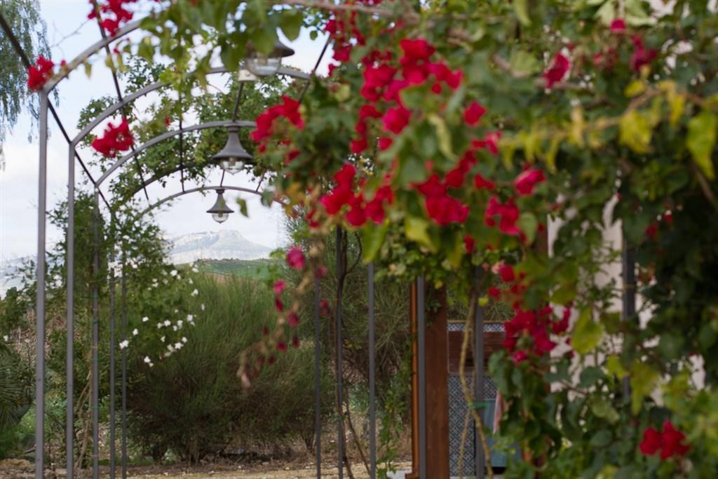Agriturismo Baglio Donna Santa Dattilo