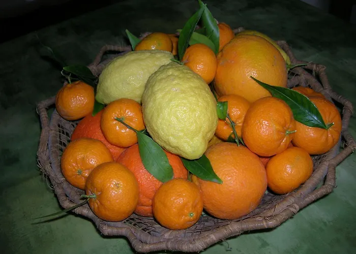 Agriturismo Baglio Donna Santa